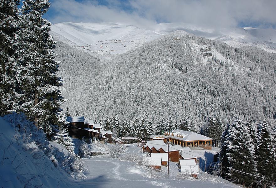 Zitas Zigana Yayla Tatil Koyu Macka Exterior foto