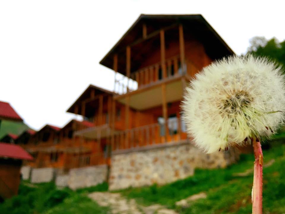 Zitas Zigana Yayla Tatil Koyu Macka Exterior foto
